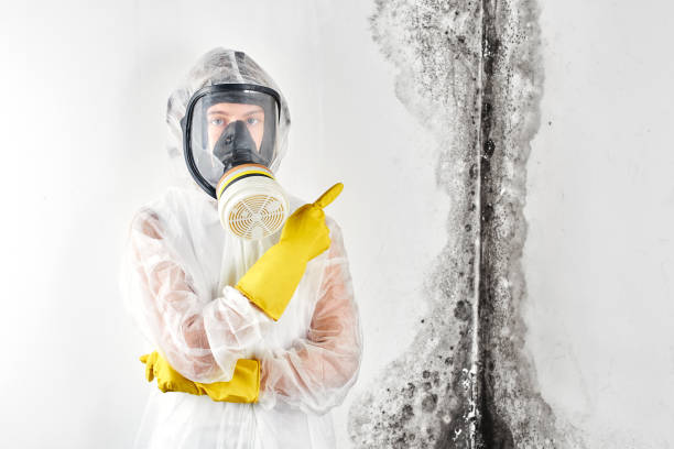 Best Water damage restoration mold remediation  in Watertown, NY